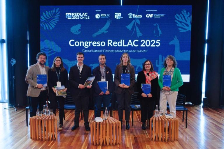 Sostenibilidad y creación de valor: la apuesta de CMPC por la conservación a través del Proyecto Patagonia