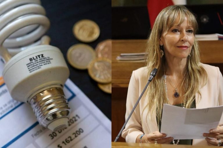 Diputada Gazmuri por errores en las cuentas de la luz: “Lo urgente ahora es que se devuelva cada peso cobrado de más a las familias”
