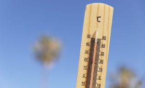 Calor extremo afecta a la Provincia Cordillera