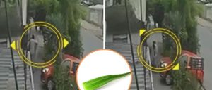 Vecino golpeó a madre e hija por sacar aloe vera en Puente Alto: adulta mayor terminó con fracturas