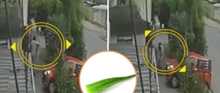Vecino golpeó a madre e hija por sacar aloe vera en Puente Alto: adulta mayor terminó con fracturas Vecino golpeó a madre e hija por sacar aloe vera en Puente Alto: adulta mayor terminó con fracturas