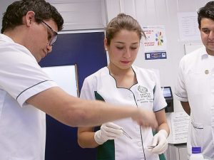 Carreras técnicas en salud: una alternativa con alta empleabilidad y sentido vocacional
