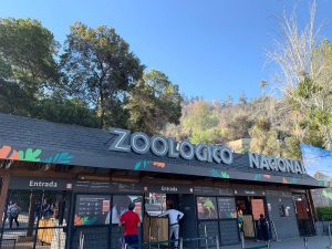 Zoológico Nacional reabre con entradas gratuitas y alta demanda en su año centenario