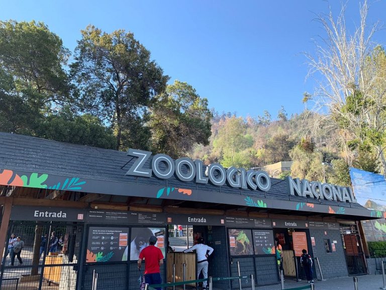 Zoológico Nacional reabre con entradas gratuitas y alta demanda en su año centenario Zoológico Nacional reabre con entradas gratuitas y alta demanda en su año centenario
