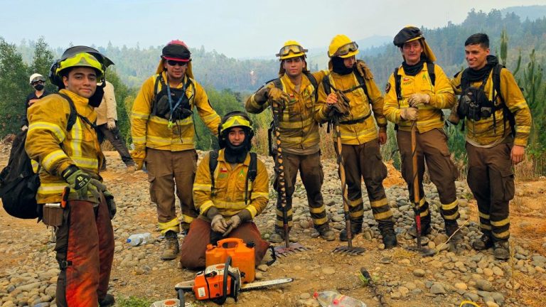 Día Nacional del Brigadista Forestal: CONAF rinde homenaje a voluntarios