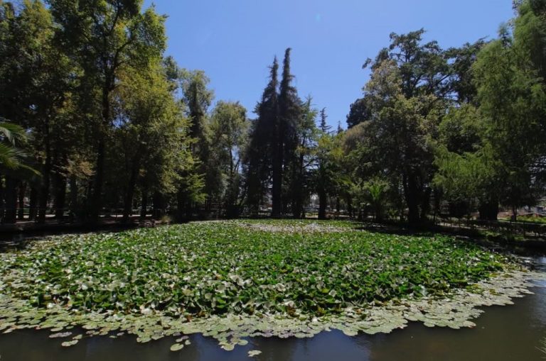 Pulmón verde en Puente Alto: Visita el Parque Gabriela
