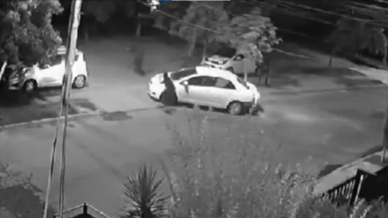 Portanzo en Puente Alto: Le roban auto a madre junto a sus dos hijos