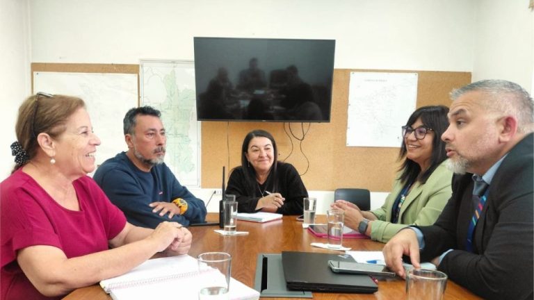 CGE se reúne con Delegada Presidencial de Cordillera y presenta plan preventivo ante contingencias eléctricas