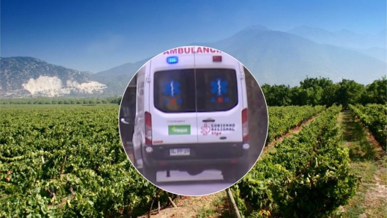 Tragedia en Pirque: trabajador muere tras caer a estanque de vino en una viña
