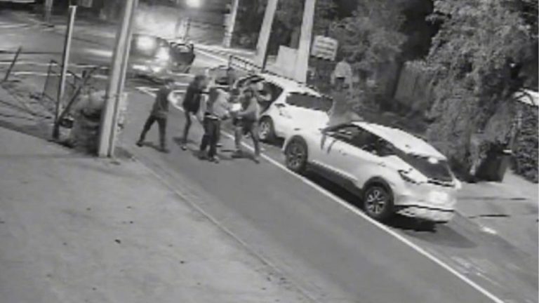 Detienen a seis sujetos tras violenta encerrona en Puente Alto: cuatro son menores de edad