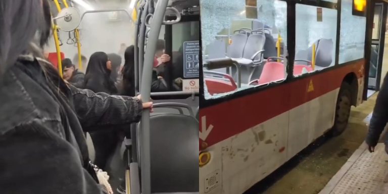 Violenta pelea entre adolescentes termina con daños a bus F10 en Puente Alto