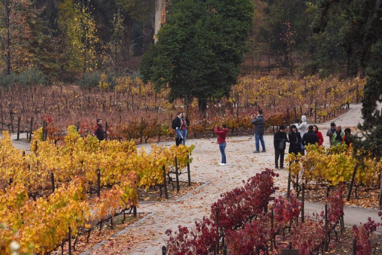 Concha y Toro y Visa impulsan el turismo en Chile con beneficios exclusivos para visitantes