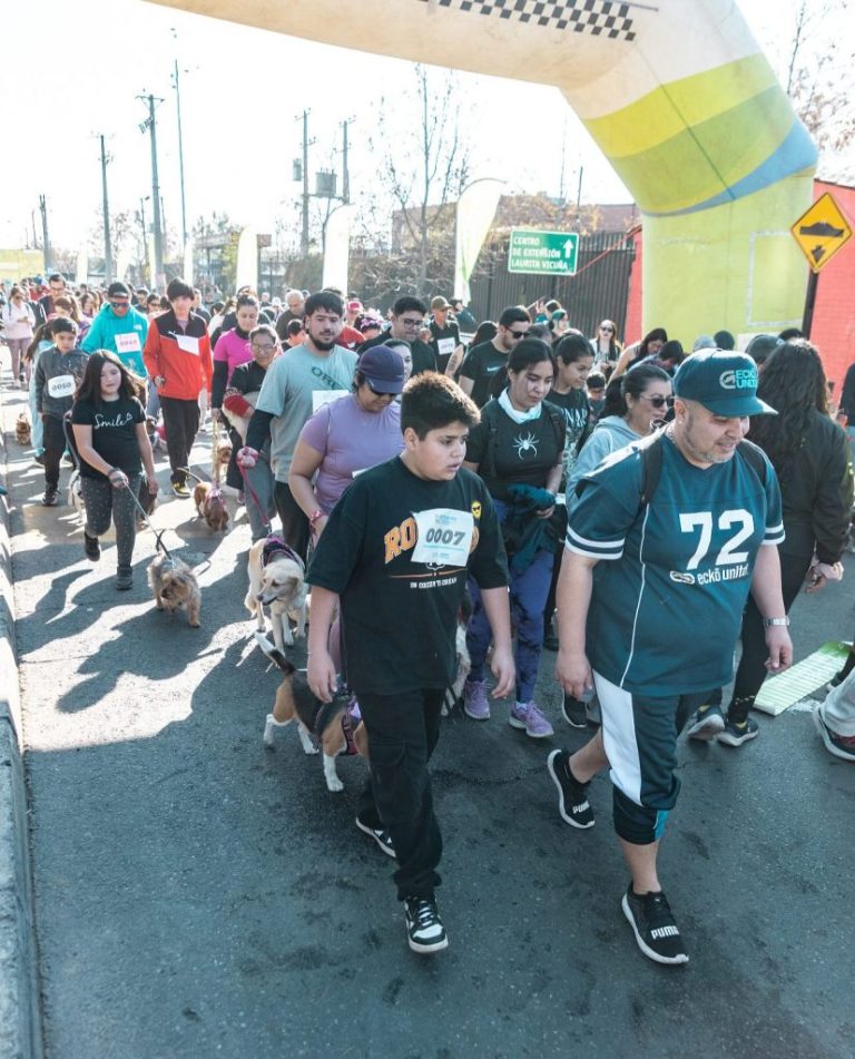 Puente Alto se prepara para la 3ª Corrida Canina Patitas a la Meta