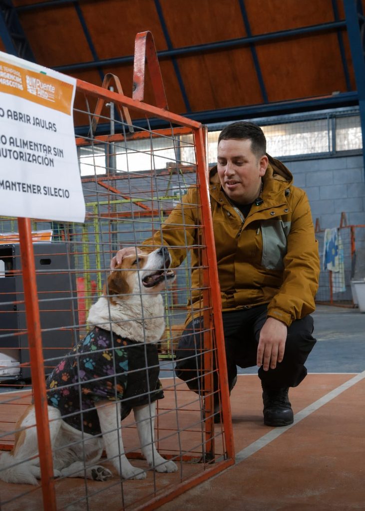 Albergue Provisional de Emergencia para Animales: cuidar la vida en todas sus formas en Puente Alto