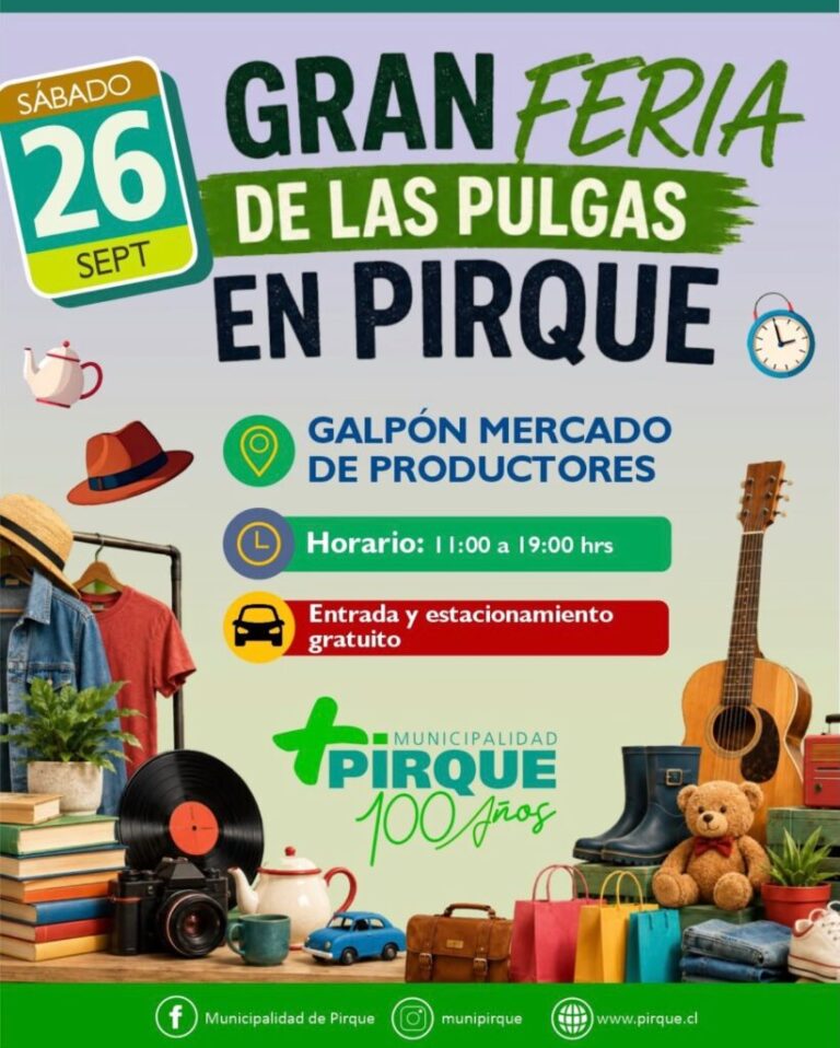 Gran Feria de las Pulgas se realizará este sábado en Pirque