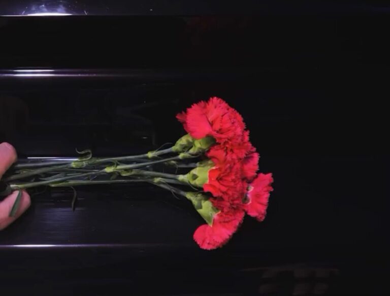 Municipalidad de Puente Alto conmemora los 53 años del 11 de septiembre con video sobre memoria histórica