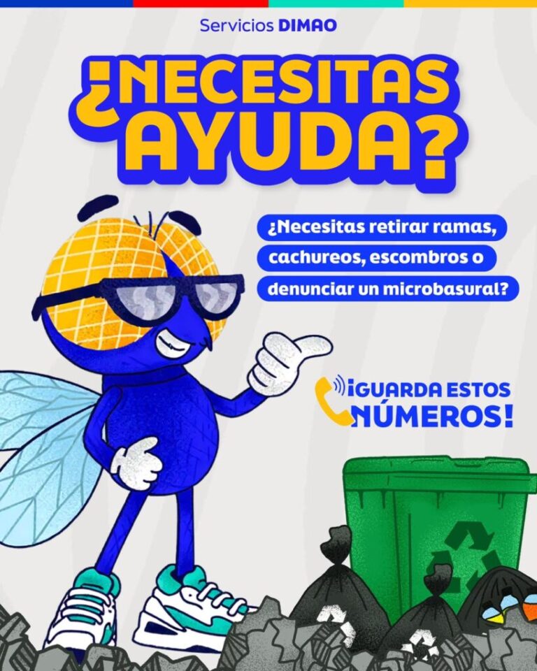 DIMAO en Puente Alto: cómo solicitar el retiro de ramas, cachureos y escombros